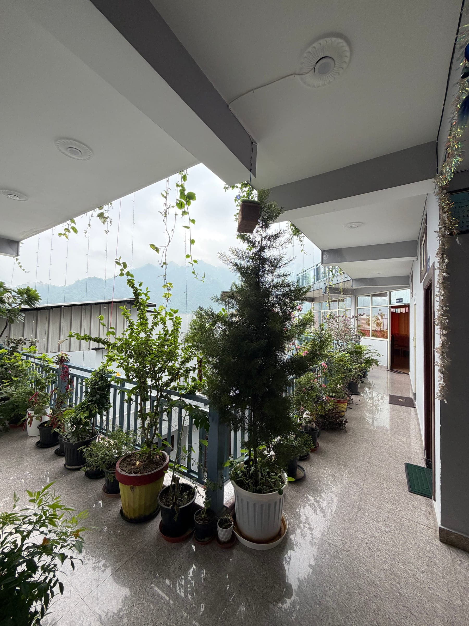 The planted corridor along the rooms