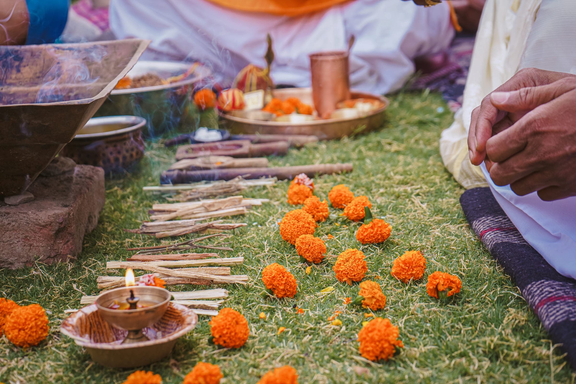 Marigolds and kindling set out on the grass