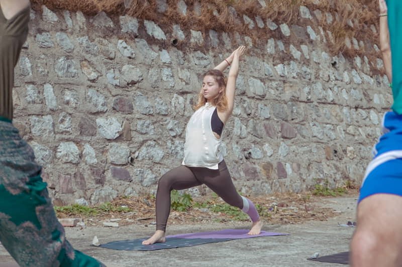 Chaturanga Dandasana (Four-Limbed Staff Pose) - Raj Yoga Rishikesh